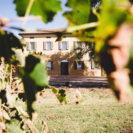 Agriturismo Vitae Fabbrico ภายนอก รูปภาพ