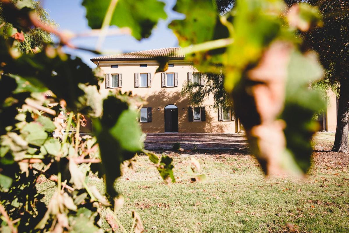Agriturismo Vitae Fabbrico ภายนอก รูปภาพ