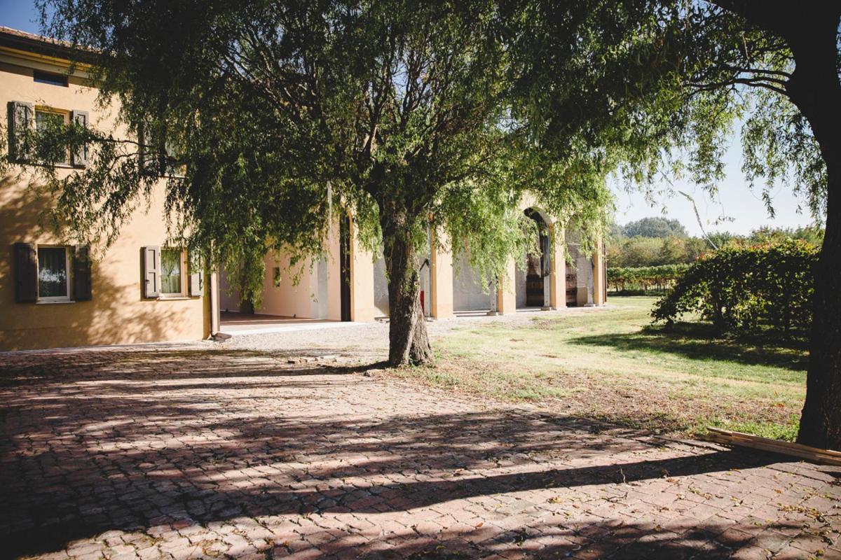 Agriturismo Vitae Fabbrico ภายนอก รูปภาพ