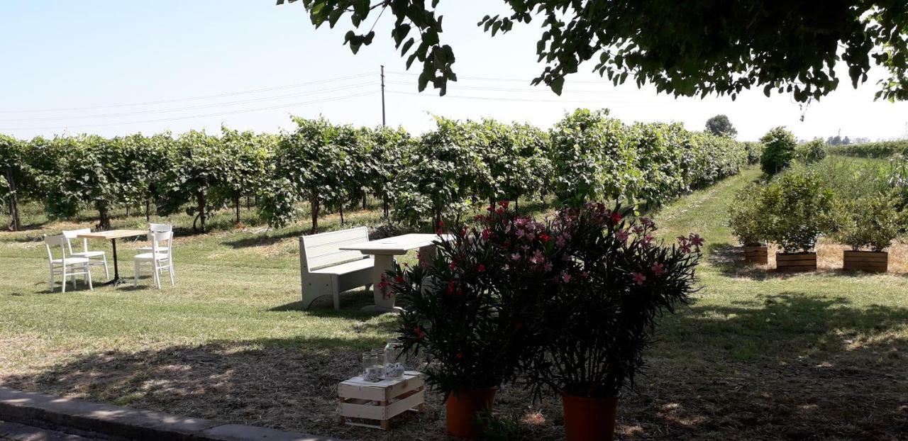 Agriturismo Vitae Fabbrico ภายนอก รูปภาพ