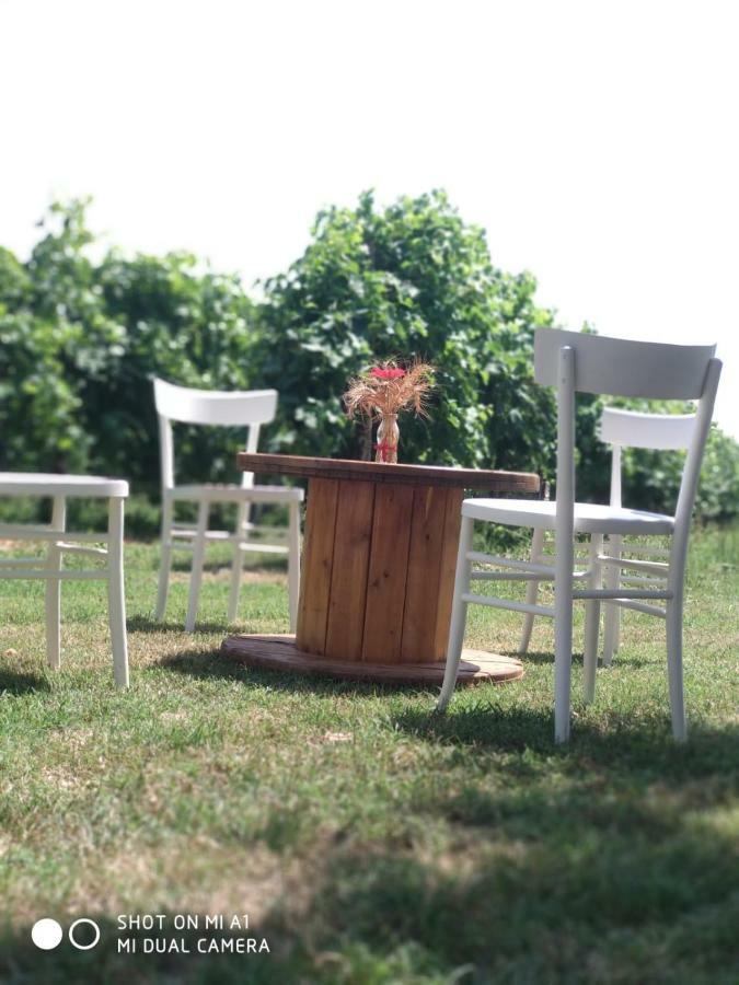 Agriturismo Vitae Fabbrico ภายนอก รูปภาพ
