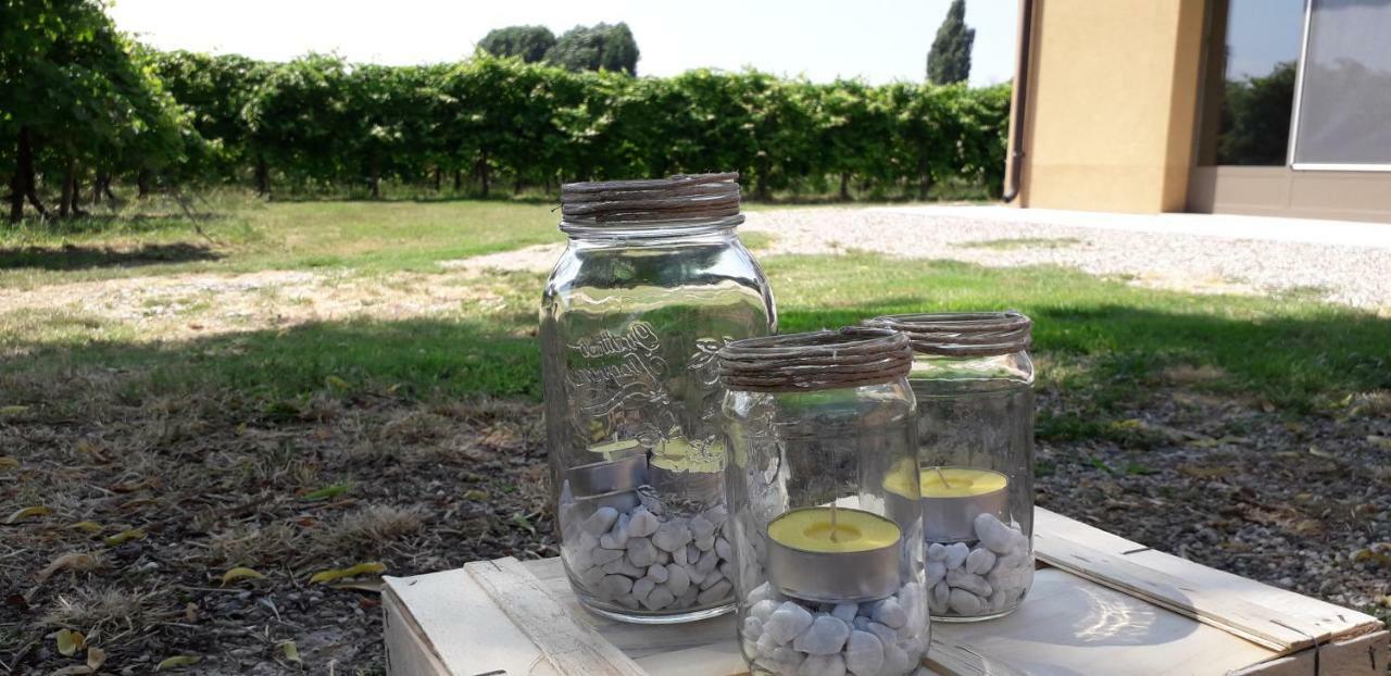 Agriturismo Vitae Fabbrico ภายนอก รูปภาพ